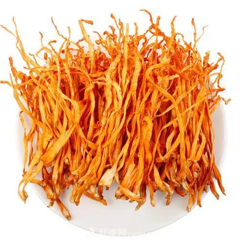 中國蛹蟲草（北冬蟲夏草）產(chǎn)業(yè)發(fā)展前景及風險分析(圖1)