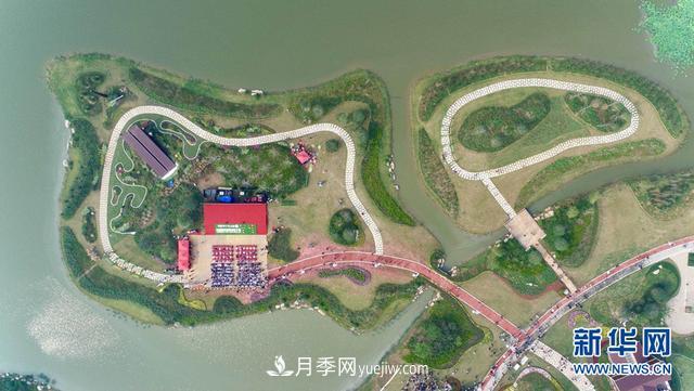 回顧記錄，中國月季展覽會花開阜陽(圖2)