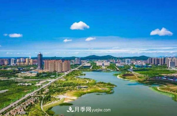 淮南市花、市樹(shù)是什么？是月季嗎？(圖1)