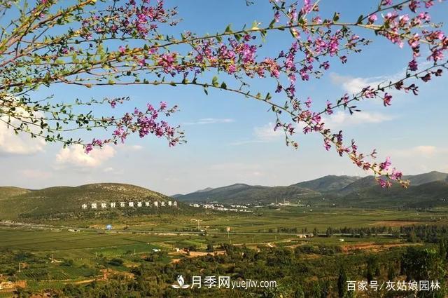 安徽淮北旅游，9個必去的景點盤點(圖1)