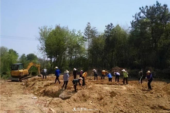 注意，2021年農(nóng)田5不準(zhǔn)：違規(guī)罰上萬，關(guān)系戶都沒用(圖2)