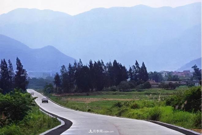 注意，2021年農(nóng)田5不準(zhǔn)：違規(guī)罰上萬，關(guān)系戶都沒用(圖3)