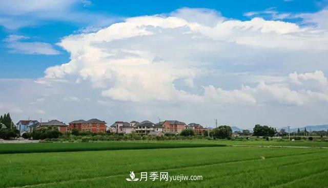注意，2021年農(nóng)田5不準(zhǔn)：違規(guī)罰上萬，關(guān)系戶都沒用(圖1)