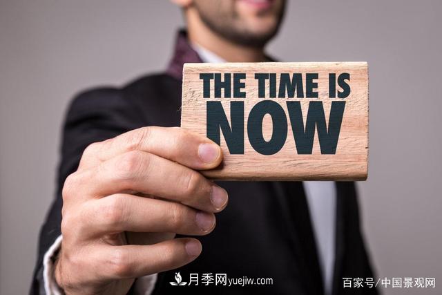 “站在風口上，豬都能飛起來！”園林苗木行業(yè)的下一個風口在哪？(圖1)