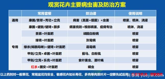 如何提高景觀花卉高發(fā)蟲害的防治效果？(圖1)