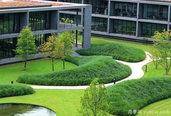 怎樣判斷草坪質(zhì)量的好壞？看4個評價指標(biāo)(圖1)