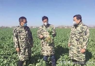 南陽(yáng)鄧州：把精彩人生書寫在田野上的冀洪策(圖1)