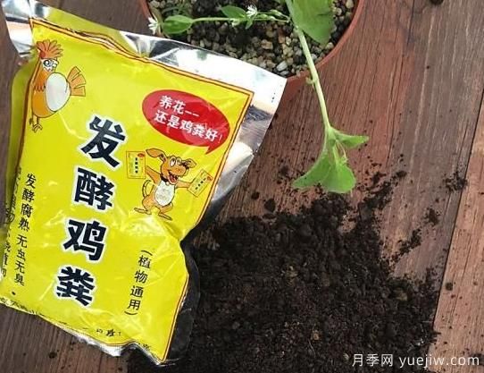 花卉綠植常用三大花肥分析，有機(jī)肥、無機(jī)肥、發(fā)酵各種糞(圖1)
