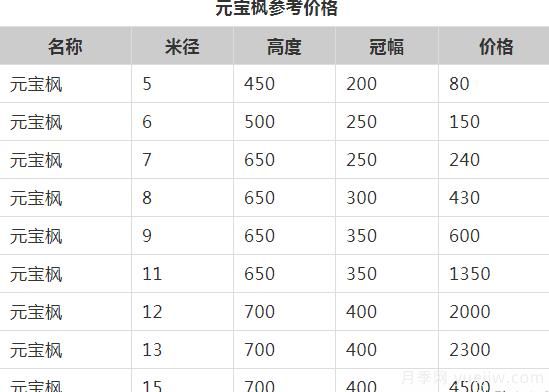 元寶楓的價(jià)格一路上漲，大規(guī)格優(yōu)質(zhì)苗一株能賣上萬元(圖1)