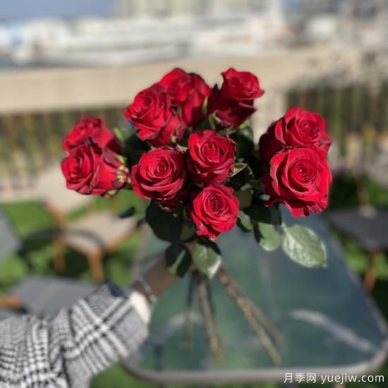 花店常備的15種紅玫瑰是什么？有什么優(yōu)缺點(diǎn)？(圖2)