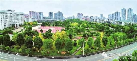 百萬(wàn)月季進(jìn)城，南陽(yáng)全力以赴創(chuàng)建國(guó)家生態(tài)園林城市(圖3)