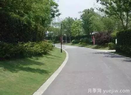 ***全常用草坪品種、優(yōu)點(diǎn)缺點(diǎn)和施工要點(diǎn)(圖16)
