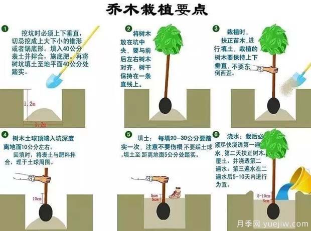 市政道路景觀規(guī)劃設計的主要手法18個問題(圖1)
