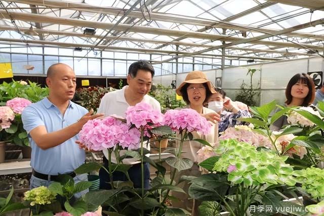 陜西省花卉產(chǎn)業(yè)創(chuàng)新發(fā)展論壇舉行，培育陜花地域品牌(圖1)
