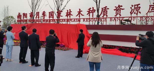南陽(yáng)市月季國(guó)家林木種質(zhì)資源庫(kù)成立，打造南陽(yáng)月季甲天下(圖2)