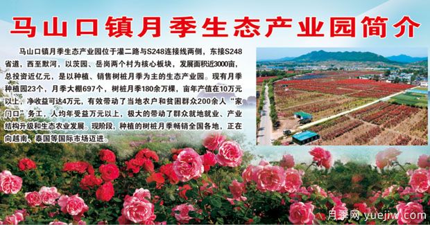 南陽內(nèi)鄉(xiāng)馬山口鎮(zhèn)月季生態(tài)產(chǎn)業(yè)園簡介(圖1)