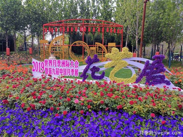 南陽(yáng)月季大觀園位置在哪里？怎么走？票價(jià)多少？(圖2)