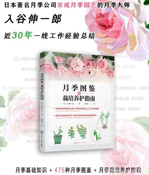 月季圖書(shū)：入谷伸一郎《月季圖鑒與栽培養(yǎng)護(hù)指南》(圖1)