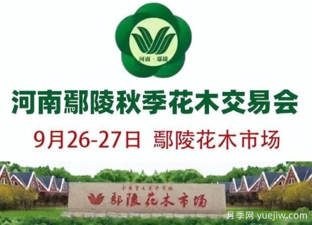 9月26日河南鄢陵第十屆秋季花木交易會(huì)舉辦(圖1)