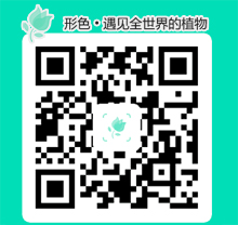 形色app，精準(zhǔn)辨別花卉識(shí)別植物(圖1)