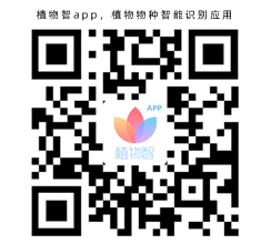 植物智app，植物物種智能識別應(yīng)用(圖1)