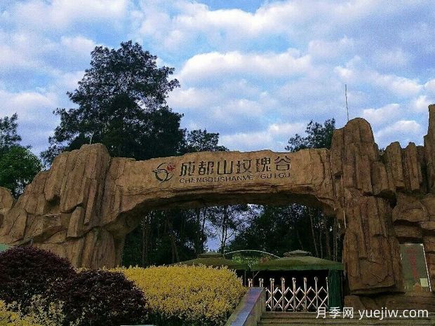 月季名園：達州成都山花纖谷玫瑰園(圖3)