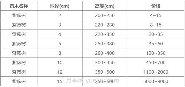 常用地徑4公分、5公分、10公分紫薇樹價格表(圖1)