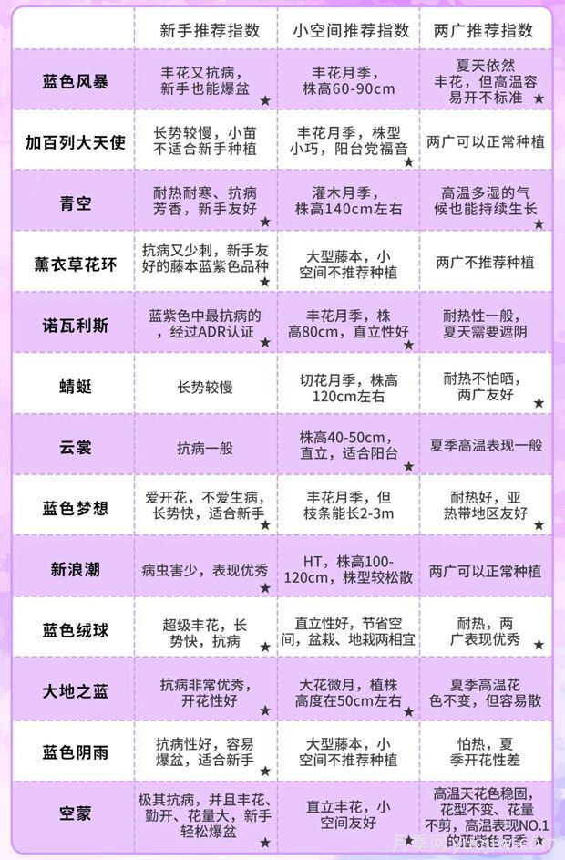 令人無法抗拒的藍(lán)色月季品種合集(圖9)
