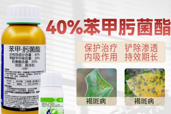 月季打藥怎么配？稀釋很難嗎？(圖1)