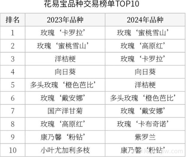 云南鮮切花產(chǎn)業(yè)，一起期待光明的到來(圖3)