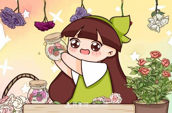 冬天鮮花太難養(yǎng)？做成干花擺在家里漂亮又長久(圖1)