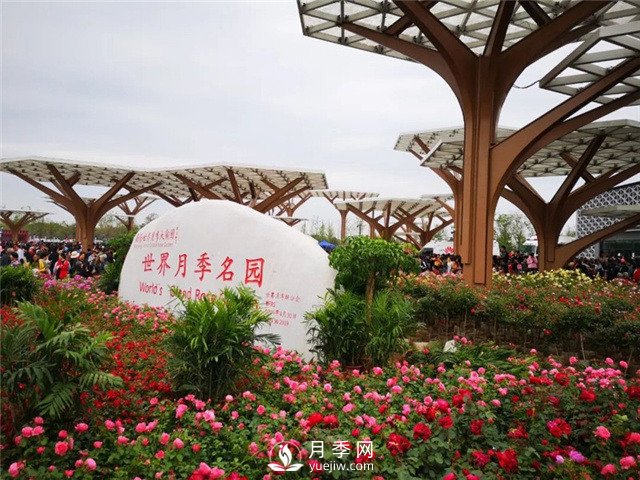 南陽(yáng)月季大觀園位置在哪里？怎么走？票價(jià)多少？(圖1)