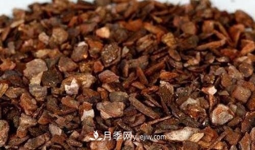 園林景觀綠化中松樹(shù)皮的應(yīng)用(圖1)