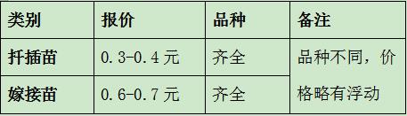 南陽月季小苗批發(fā)價(jià)格-月季嫁接苗扦插苗報(bào)價(jià)！(圖2)