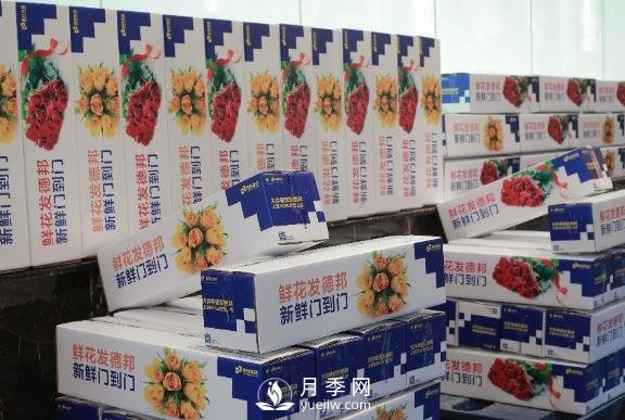情人節(jié)春節(jié)相遇，德邦快遞＂春節(jié)不休＂滿足鮮花運(yùn)輸旺盛需求(圖1)
