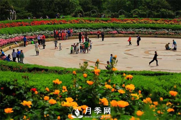 我國(guó)5年來(lái)林業(yè)產(chǎn)業(yè)總產(chǎn)值年均增速12.1%(圖1)