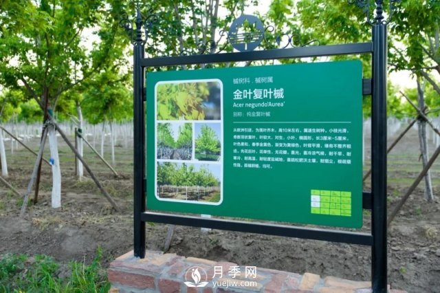 28項行業(yè)標(biāo)準(zhǔn)，198項地方標(biāo)準(zhǔn)，助推北京園林綠化高質(zhì)量發(fā)展(圖4)