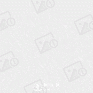 大葉女貞和小葉女貞到底有哪些區(qū)別呢？就葉子不同？(圖1)
