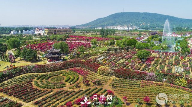 解讀南陽(yáng)三水三山，助力綠色生態(tài)發(fā)展(圖2)
