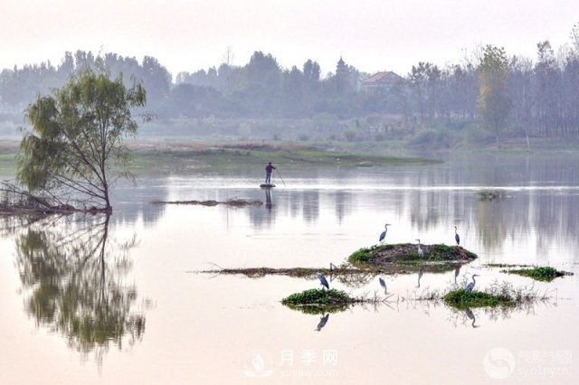 解讀南陽(yáng)三水三山，助力綠色生態(tài)發(fā)展(圖5)