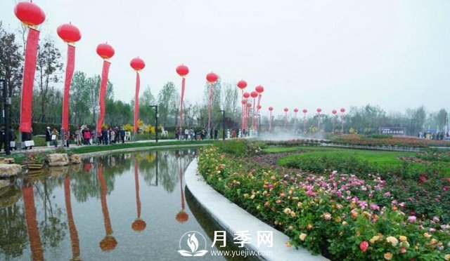 露天陽(yáng)臺(tái)以及樓頂種植月季配土的標(biāo)準(zhǔn)(圖1)