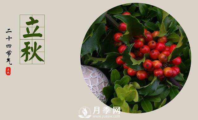 苗木人你知道苗木需要做什么養(yǎng)護嗎？(圖1)