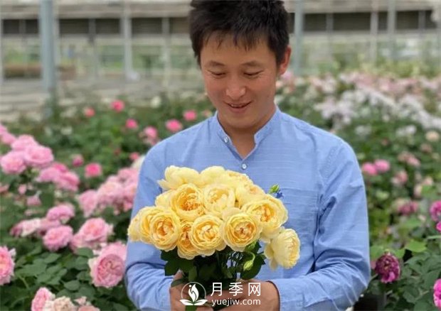 歌笛月季，一個(gè)被世界月季委員會(huì)**選擇的月季品種(圖2)