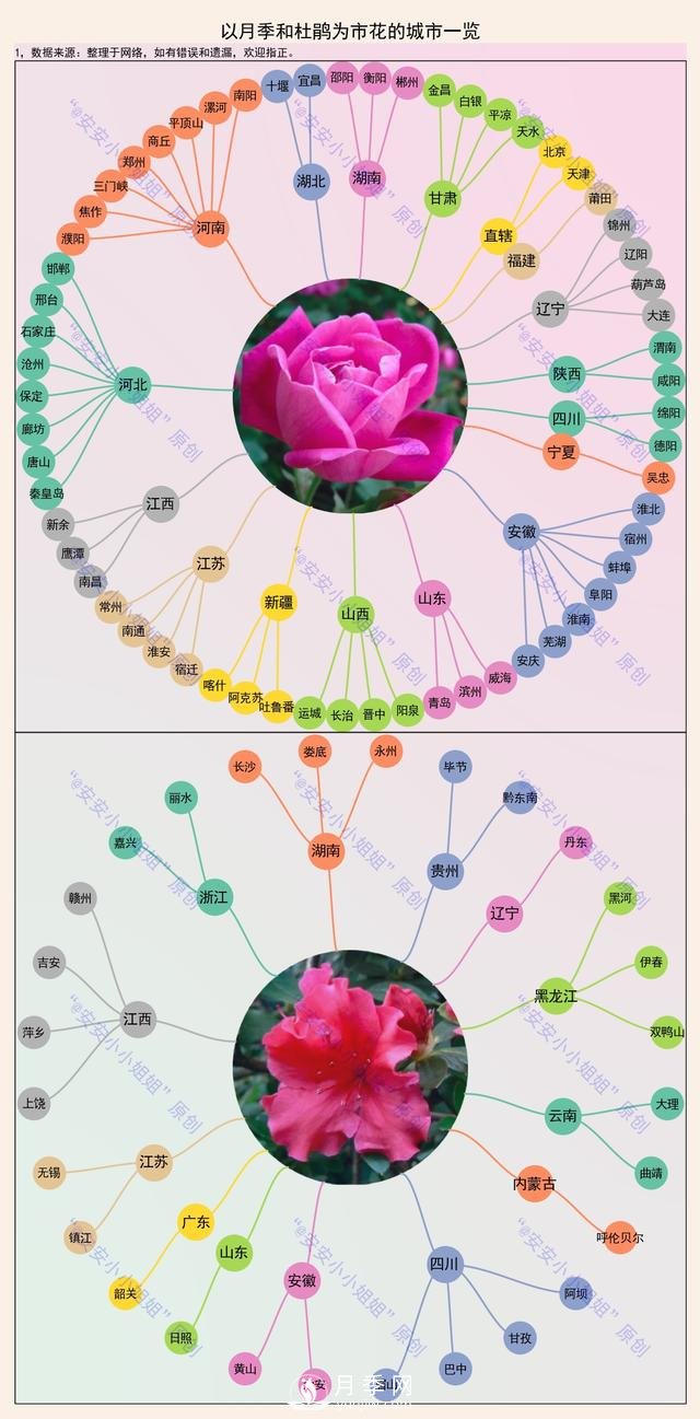市樹市花地圖：月季、杜鵑、香樟、國槐(圖1)