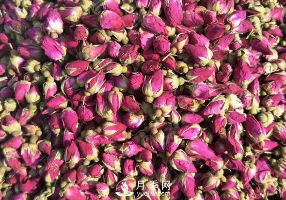 贈(zèng)人玫瑰，手有余香，怎么看待平陰玫瑰(圖1)