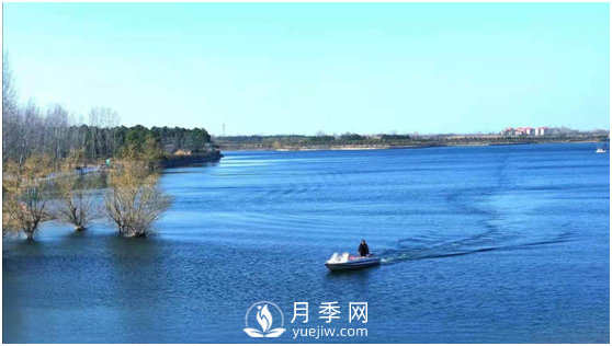 南陽驚蟄時(shí)節(jié)，花紅柳綠又一春(圖4)