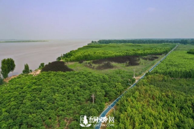 3.13萬畝！2021年鄭州綠化目之所及皆是綠(圖4)