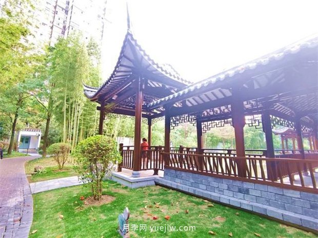 福州茶亭公園月季花開，芬芳美爆！(圖10)