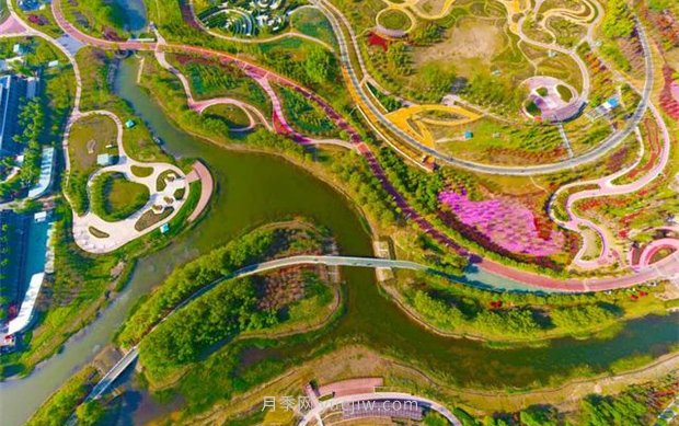 聊城九州洼月季公園五一出游樂(lè)園(圖1)