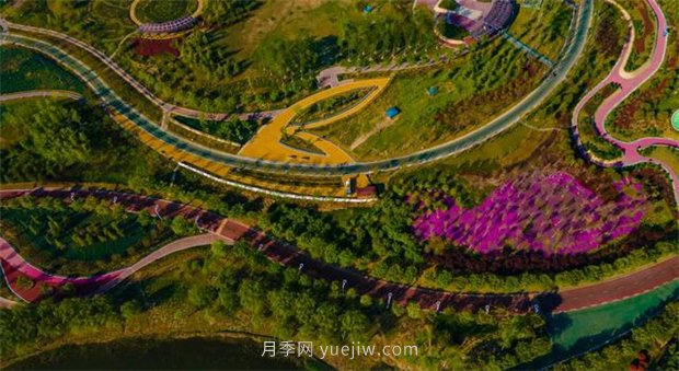 聊城九州洼月季公園五一出游樂(lè)園(圖3)